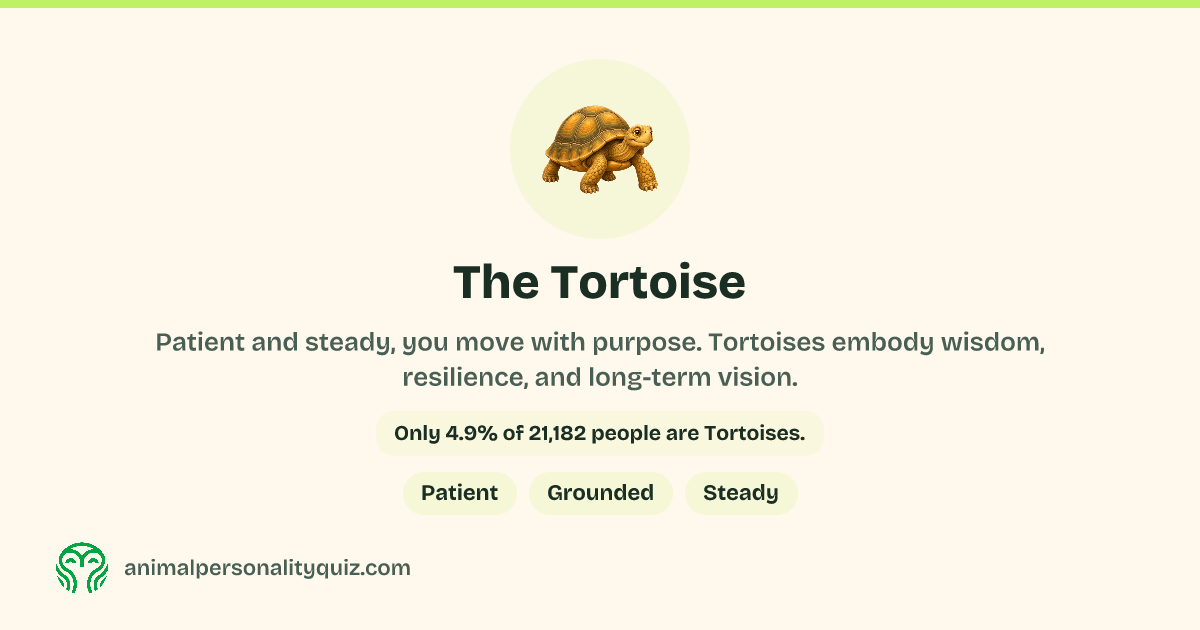 The Tortoise Personality Type - Complete Guide | Animal Personality Quiz